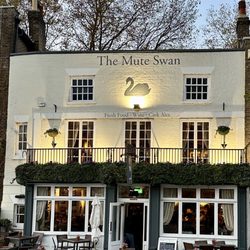 The Mute Swan - The Mute Swan (across from Hampton Place Palace)
