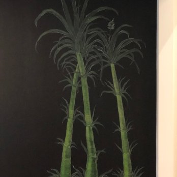 Blanco Fine Art - Painters Near Me Blanco Fine Art - Painters Near Me