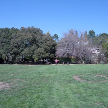 Boyle Park - Parks Near Me - Mill Valley, California