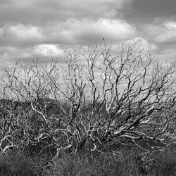 Hood Mountain Regional Park and Open Space Preserve