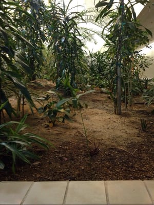 City College of San Francisco - Southeast Center Library by null