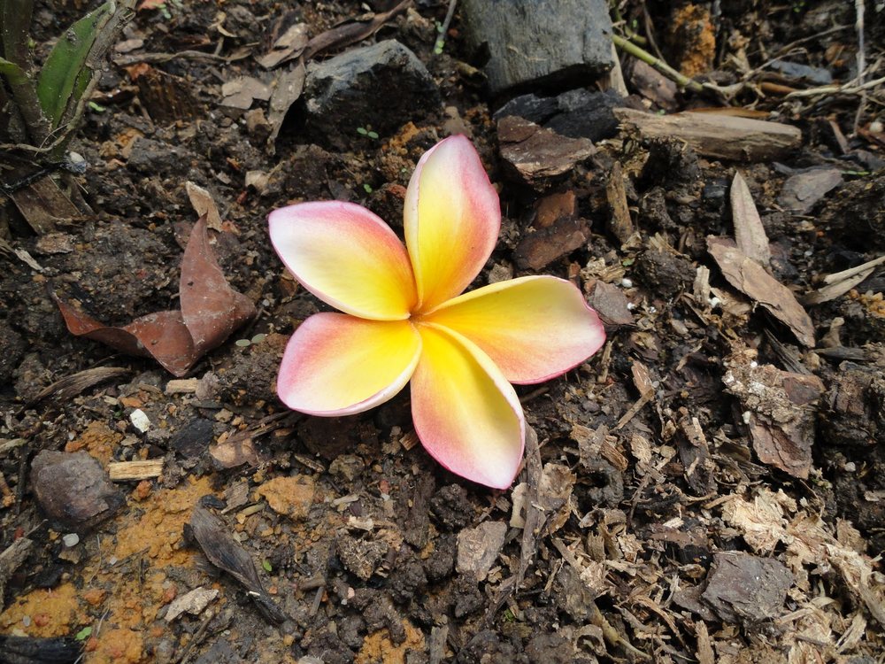 Garden City Therapy - grief counselor in Garden City, NY