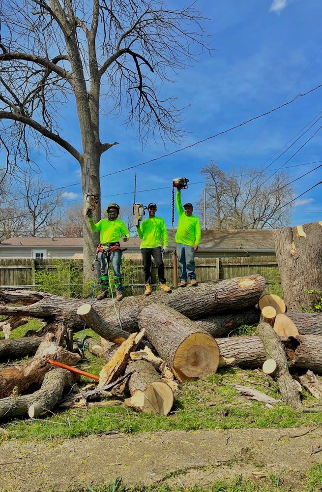 Morales Tree Service - tree service in Louisville, KY