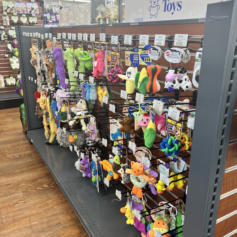 Pet Supermarket - Toys - Pet Stores Near Me - St Petersburg, Florida