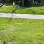 Photo of Naturescape