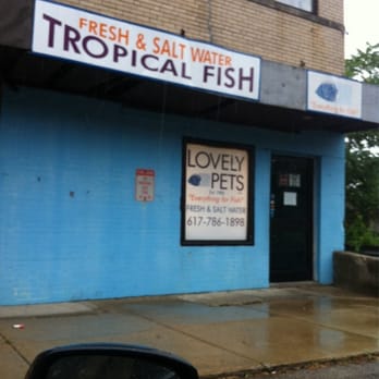 Lovely Pets Aquarium - Pet Stores Near Me - Kingston, Massachusetts Lovely Pets Aquarium - Pet Stores Near Me - Kingston, Massachusetts