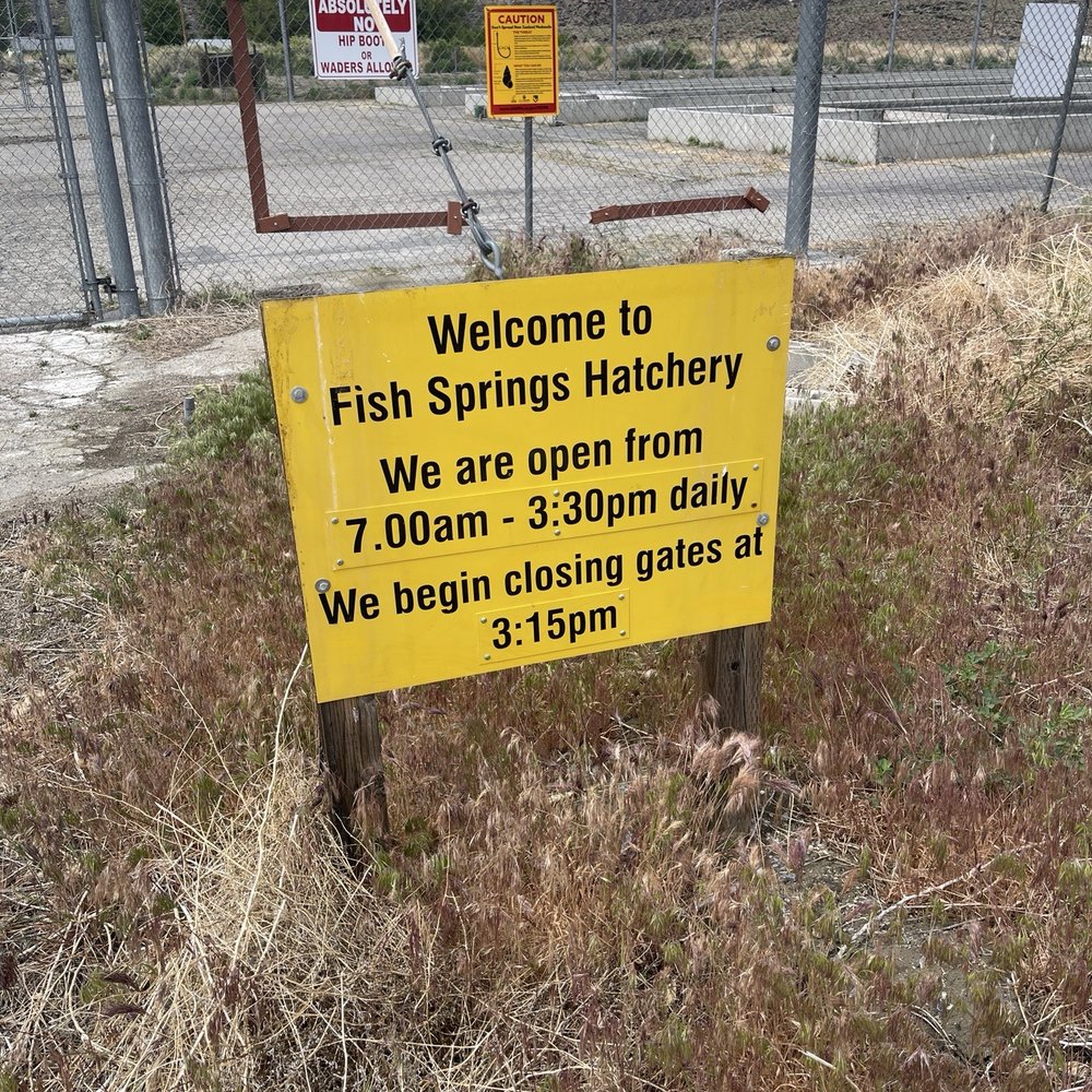 Fish Springs Hatchery - Fishing Near Me - Big Pine, California Fish Springs Hatchery - Fishing Near Me - Big Pine, California