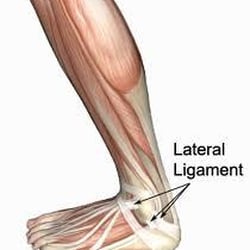 Southern Tier Podiatry: Marilyn Boyuka, DPM