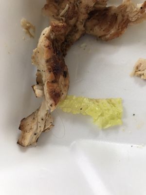 Pizza Etc 26 Photos 191 Reviews Pizza 429 Faneuil St Brighton Ma United States Restaurant Reviews Phone Number Menu