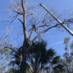 Ax Men Tree Service