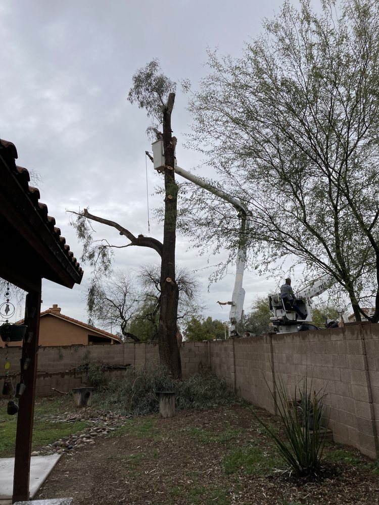 Tree Toppers - tree service in Tucson, AZ