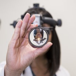 Eye Designs Optometry - "Two eyes to last one lifetime" Love your eyes by giving them the very BEST! We can help!