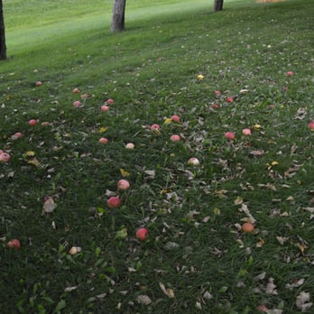 Fuggiti Segio Apple Orchard - Farmers Market Near Me - Waterloo, Iowa