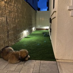 FYI there's dog resistant turf and de-odorizing applications FYI there's dog resistant turf and de-odorizing applications