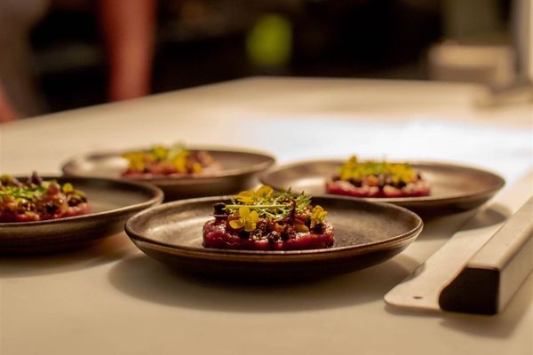 Table Culture Provisions by null