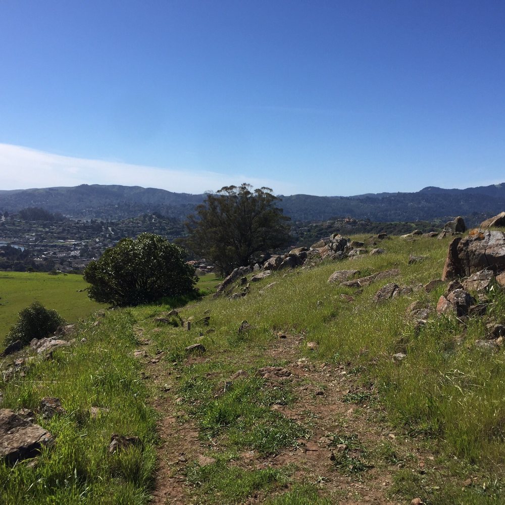 Ring Mountain Preserve - Parks Near Me - Corte Madera, California Ring Mountain Preserve - Parks Near Me - Corte Madera, California