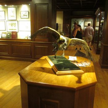 Bass Pro Shop - Guns & Ammo Near Me - Memphis, Tennessee
