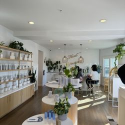 The Treatment - Claremont Facial Bar