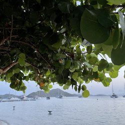 Cooper Island Beach Club