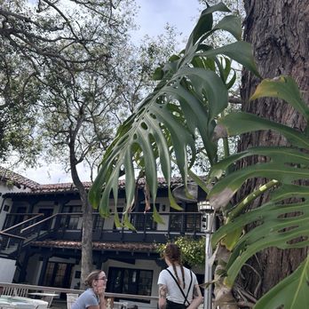 Milligram  - Cafes Near Me - Costa Mesa, California