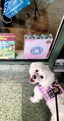 Auntie Barbara's General Store by null