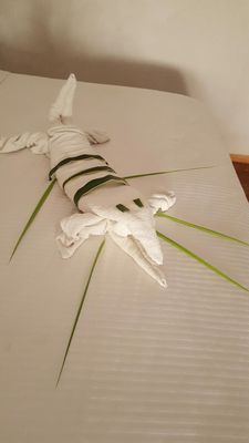 Zenti'k Project by null