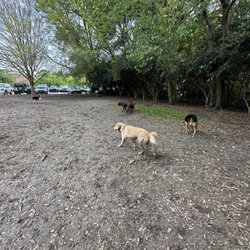 Hampton Park Dog Run