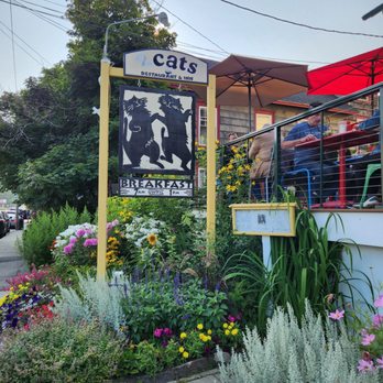 2 Cats Bar Harbor - Coffee & Tea Near Me - Bar Harbor, Maine 2 Cats Bar Harbor - Coffee & Tea Near Me - Bar Harbor, Maine