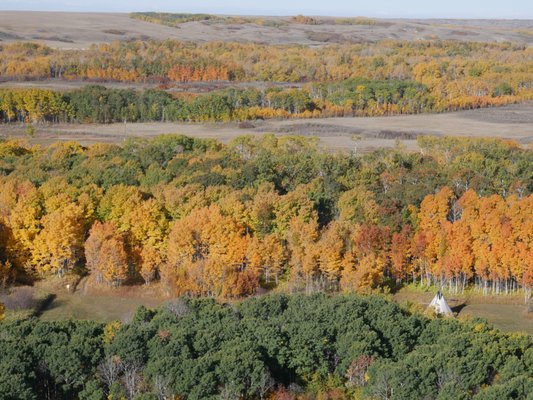 Blackfoot Crossing Historical Park by null