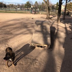 Chandon Dog Park