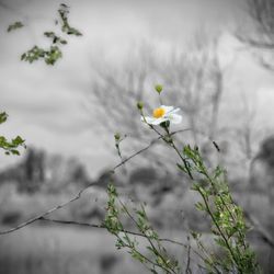 Haster Basin Park
