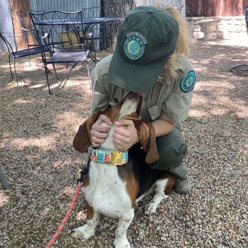 Lisa's K-9 Kids - My relationship with my dog is wonderful. She saved my life - Pet Training Near Me - Arlington, Texas Lisa's K-9 Kids - My relationship with my dog is wonderful. She saved my life - Pet Training Near Me - Arlington, Texas