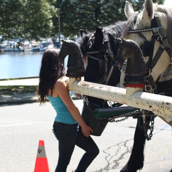 Stanley Park - Parks Near Me - Vancouver, British Columbia Stanley Park - Parks Near Me - Vancouver, British Columbia
