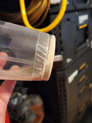 El Jacal Mexican Grill by null