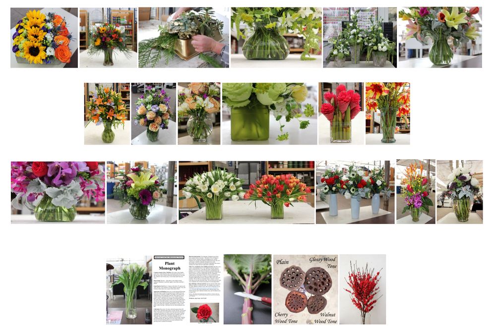 STEVEN’S & SON WHOLESALE FLORIST Updated October 2024 14022 W 54th