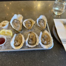 Oysters Oysters