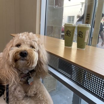 Heytea - Bubble Tea Near Me - Daly City, California