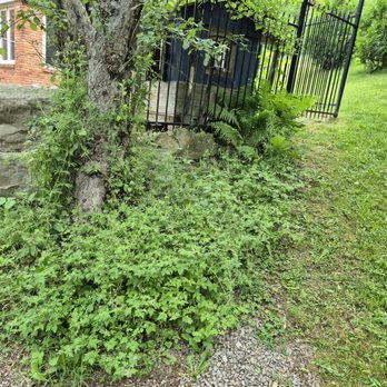 Autumn Leaf Gardening - Before... - Lawn Services Near Me Autumn Leaf Gardening - Before... - Lawn Services Near Me