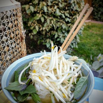 Ao Sen - Pho ga - Vietnamese Near Me - Albany, California