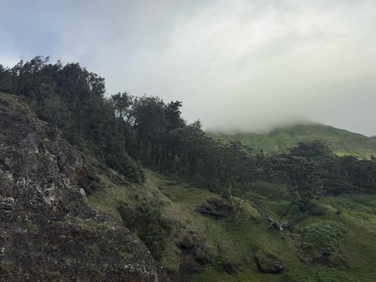 Nuʻuanu Pali Lookout by null