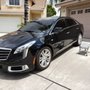 Photo of Immaculate Precision Auto Detail