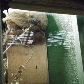 Dublin Zoo - Zoos Near Me - Dublin, D Dublin Zoo - Zoos Near Me - Dublin, D