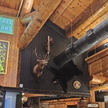 The Park Grill - Bear rug, deer head, and mounted taxidermy raccoons - Steakhouses Near Me - Gatlinburg, Tennessee