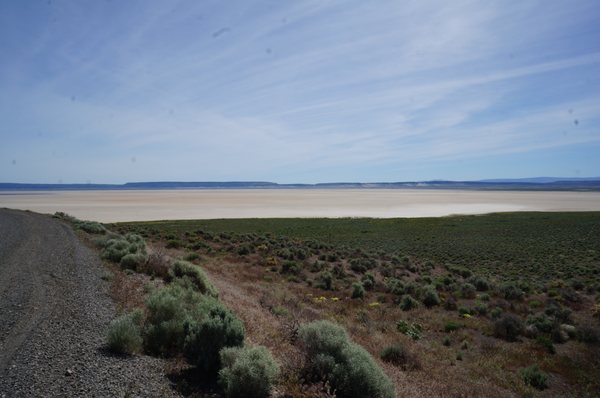 Alvord Desert by null