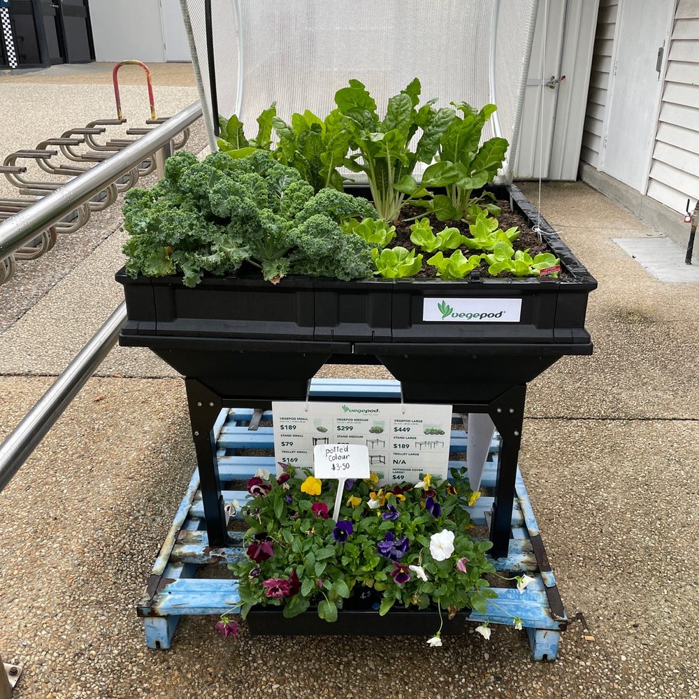 Geebung Treasure Trove Brisbane QLD, 43 OFF