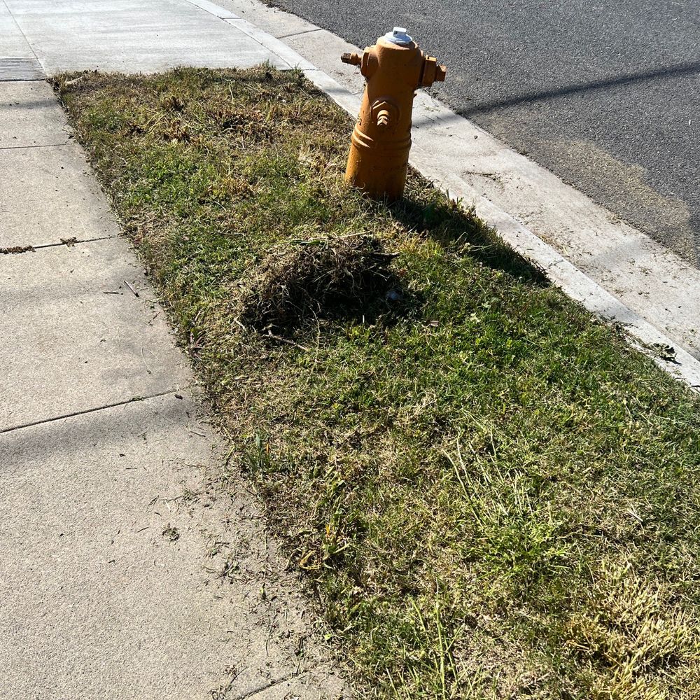 Jesus Lawn Maintenance - Lawn Services Near Me - Bellflower, California