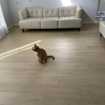 All American Flooring - Laminate flooring - Flooring Near Me - Allen, Texas All American Flooring - Laminate flooring - Flooring Near Me - Allen, Texas