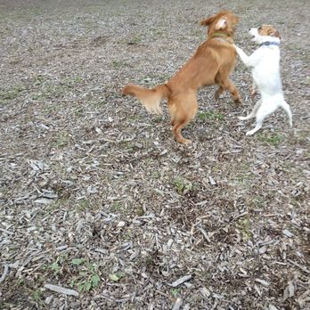 Bay View Dog Park - Dog Parks Near Me - Milwaukee, Wisconsin