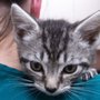 Photo of Minnehaha Animal Hospital