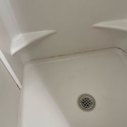 Luray Caverns Motel East - Mold in shower